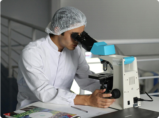 Lab